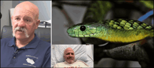 Bald man with mustache wearing a Poway County badge, seated indoors and lying in a hospital bed, alongside a close-up of a green snake with black eyes on a branch.