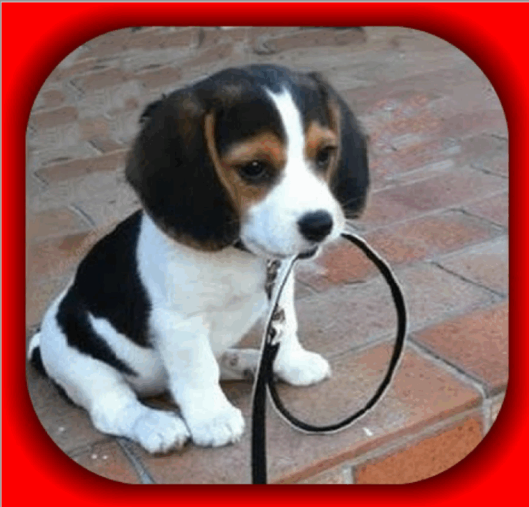 You Won’t Believe How Fast This Tiny Moment Can Reset Your Whole Day