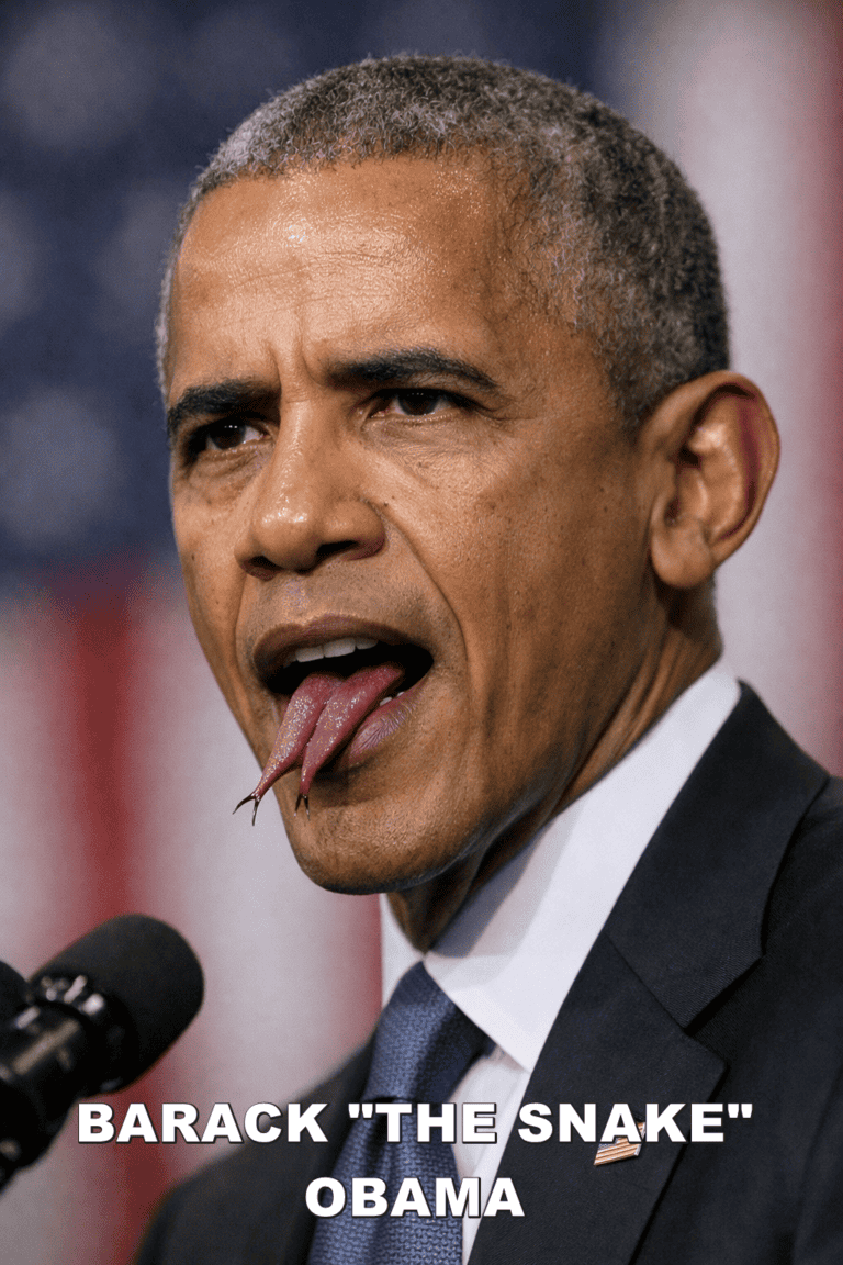 Obama’s “Fair Elections” Pitch Sounds Like a Progressive Communist Democrat Power Grab